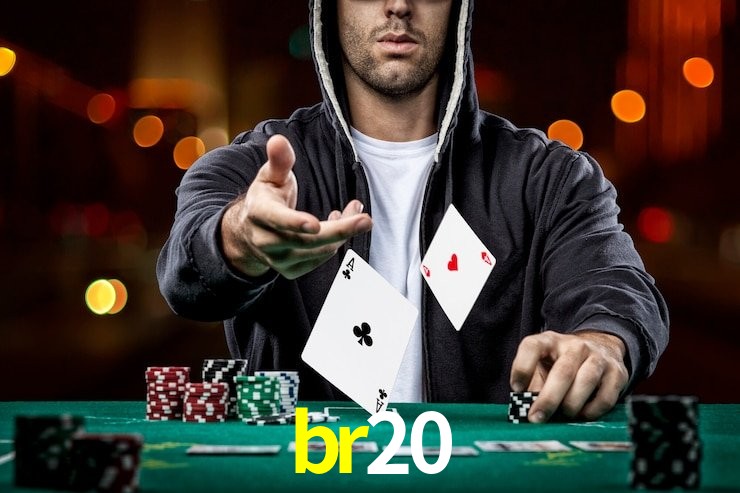 br20 App Interface