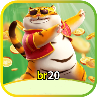 br20